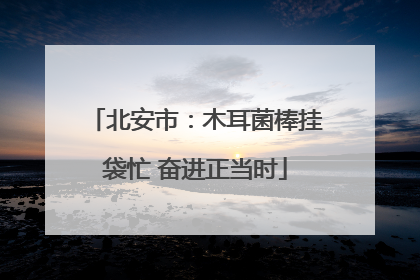 北安市：木耳菌棒挂袋忙 奋进正当时