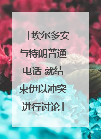 埃尔多安与特朗普通电话 就结束伊以冲突进行讨论