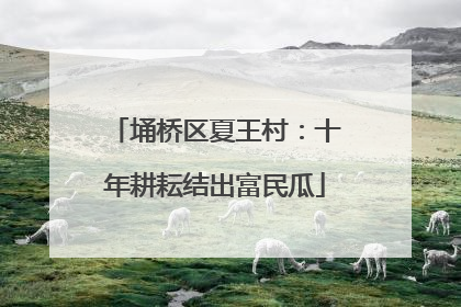 埇桥区夏王村：十年耕耘结出富民瓜