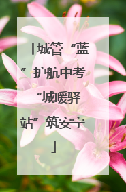 城管“蓝”护航中考 “城暖驿站”筑安宁