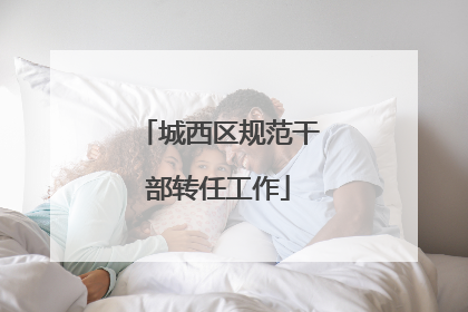 城西区规范干部转任工作