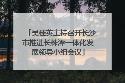 吴桂英主持召开长沙市推进长株潭一体化发展领导小组会议
