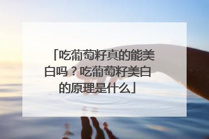 吃葡萄籽真的能美白吗？吃葡萄籽美白的原理是什么