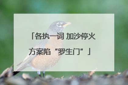 各执一词 加沙停火方案陷“罗生门”