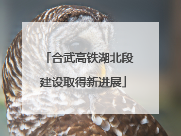合武高铁湖北段建设取得新进展