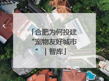 合肥为何投建“宠物友好城市”｜智库