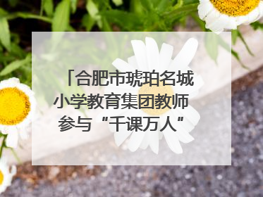 合肥市琥珀名城小学教育集团教师参与“千课万人”数学论坛活动