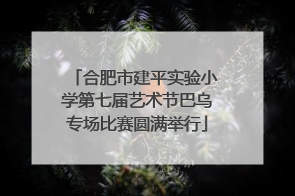 合肥市建平实验小学第七届艺术节巴乌专场比赛圆满举行