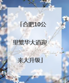 合肥10公里繁华大道迎来大升级