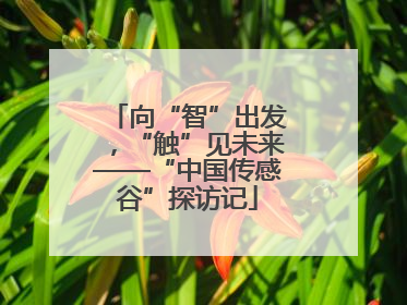 向“智”出发，“触”见未来——“中国传感谷”探访记