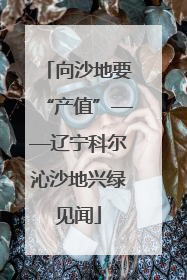 向沙地要“产值”——辽宁科尔沁沙地兴绿见闻