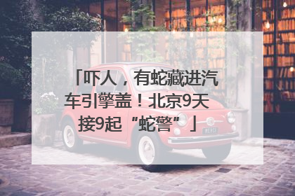 吓人，有蛇藏进汽车引擎盖！北京9天接9起“蛇警”