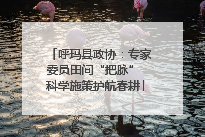 呼玛县政协：专家委员田间“把脉” 科学施策护航春耕