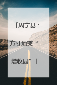 周宁县：方寸地变“增收园”