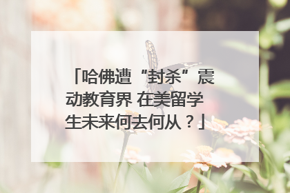 哈佛遭“封杀”震动教育界 在美留学生未来何去何从？
