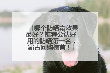 哪个防晒霜效果最好？推荐公认好用的防晒第一名，霸占回购榜首！