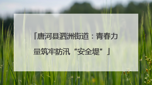 唐河县泗洲街道：青春力量筑牢防汛“安全堤”