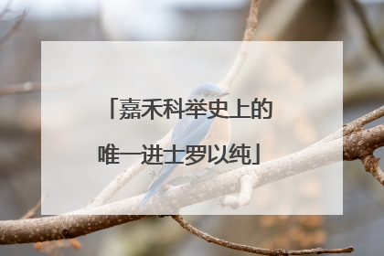 嘉禾科举史上的唯一进士罗以纯