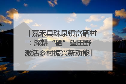 嘉禾县珠泉镇富硒村：深耕“硒”望田野 激活乡村振兴新动能