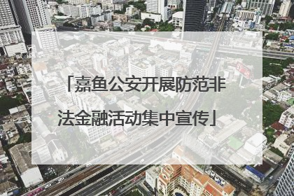 嘉鱼公安开展防范非法金融活动集中宣传