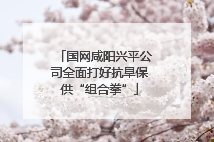 国网咸阳兴平公司全面打好抗旱保供“组合拳”