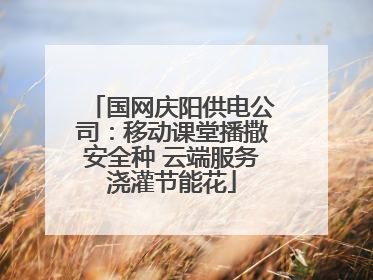 国网庆阳供电公司：移动课堂播撒安全种 云端服务浇灌节能花