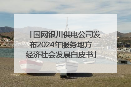 国网银川供电公司发布2024年服务地方经济社会发展白皮书