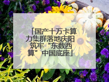 国产十万卡算力集群落地庆阳 筑牢“东数西算”中国底座