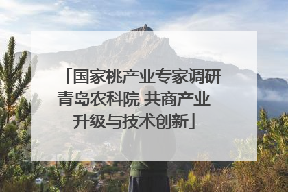 国家桃产业专家调研青岛农科院 共商产业升级与技术创新
