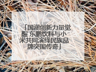 国潮创新力量觉醒 东鹏饮料与小米共同演绎民族品牌突围传奇
