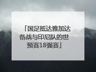 国足抵达雅加达备战与印尼队的世预赛18强赛