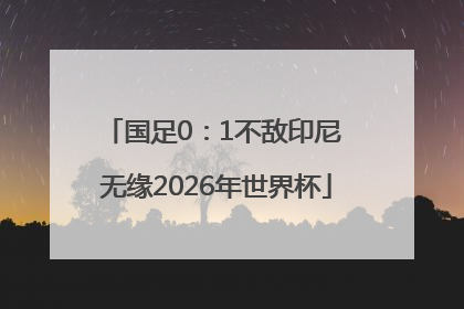 国足0：1不敌印尼 无缘2026年世界杯