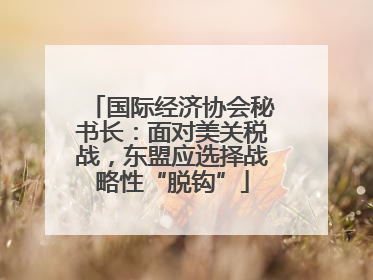 国际经济协会秘书长：面对美关税战，东盟应选择战略性“脱钩”