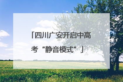 四川广安开启中高考“静音模式”