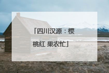 四川汉源：樱桃红 果农忙