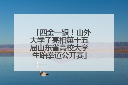四金一银！山外大学子亮相第十五届山东省高校大学生跆拳道公开赛