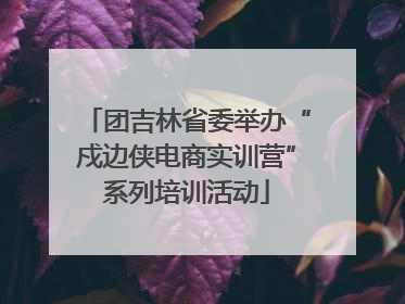 团吉林省委举办“戍边侠电商实训营”系列培训活动