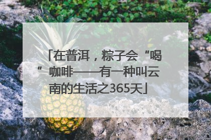 在普洱，粽子会“喝”咖啡——有一种叫云南的生活之365天
