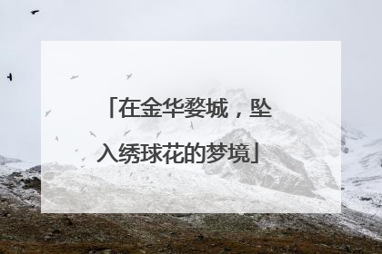 在金华婺城，坠入绣球花的梦境