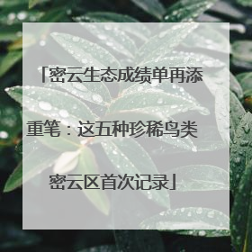 密云生态成绩单再添重笔：这五种珍稀鸟类密云区首次记录