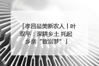 孝昌最美新农人丨叶双平：深耕乡土 托起乡亲“致富梦”