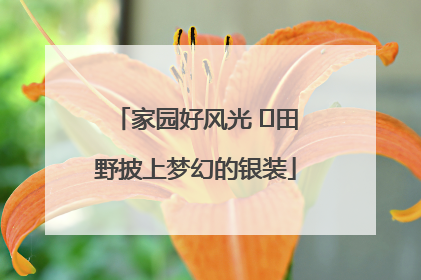 家园好风光 ⎮田野披上梦幻的银装