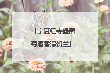 宁夏红寺堡葡萄酒香漫贺兰