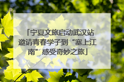 宁夏文旅启动武汉站 邀请青春学子到“塞上江南”感受奇妙之旅