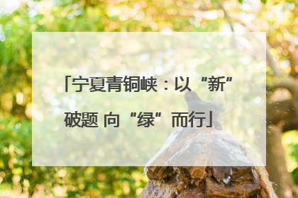 宁夏青铜峡：以“新”破题 向“绿”而行