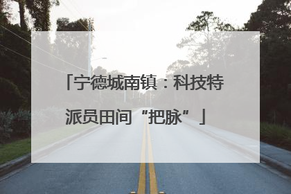 宁德城南镇：科技特派员田间“把脉”