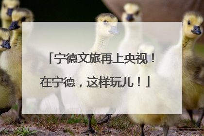 宁德文旅再上央视！在宁德，这样玩儿！
