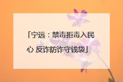 宁远：禁毒拒毒入民心 反诈防诈守钱袋