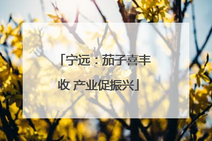 宁远：茄子喜丰收 产业促振兴