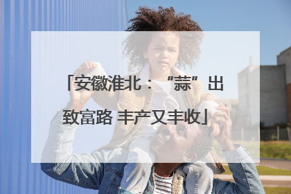 安徽淮北：“蒜”出致富路 丰产又丰收